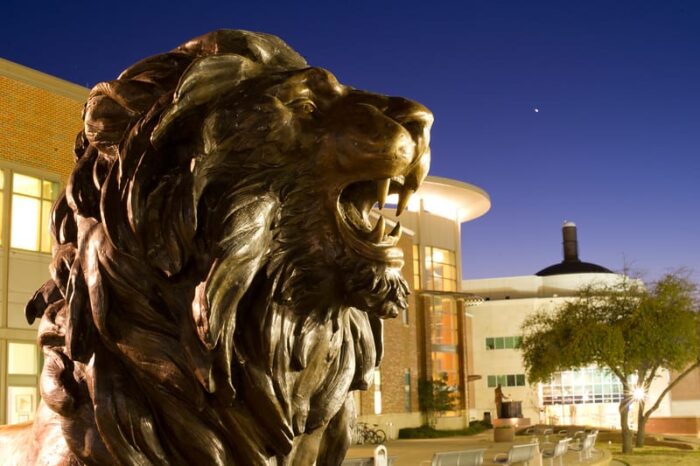 TAMUC lion statue on campus.