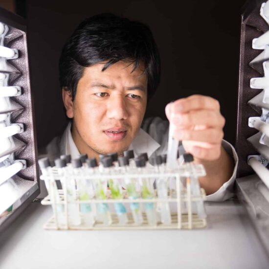 A male professor looking at a vial filled with chemicals.