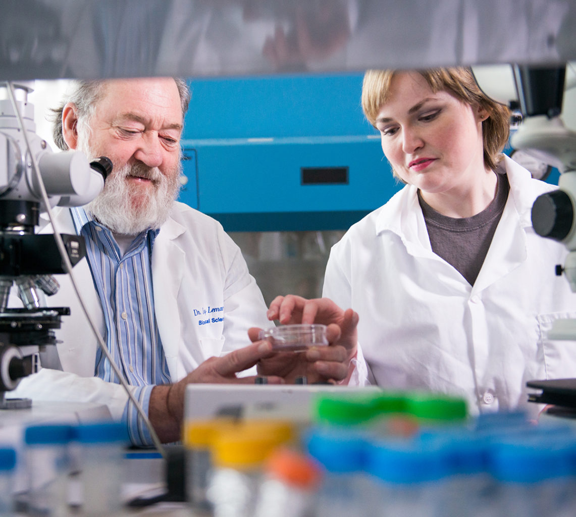 Two professors of the Biomedical Institute for Regenerative Research (BIRR) working in the lab.