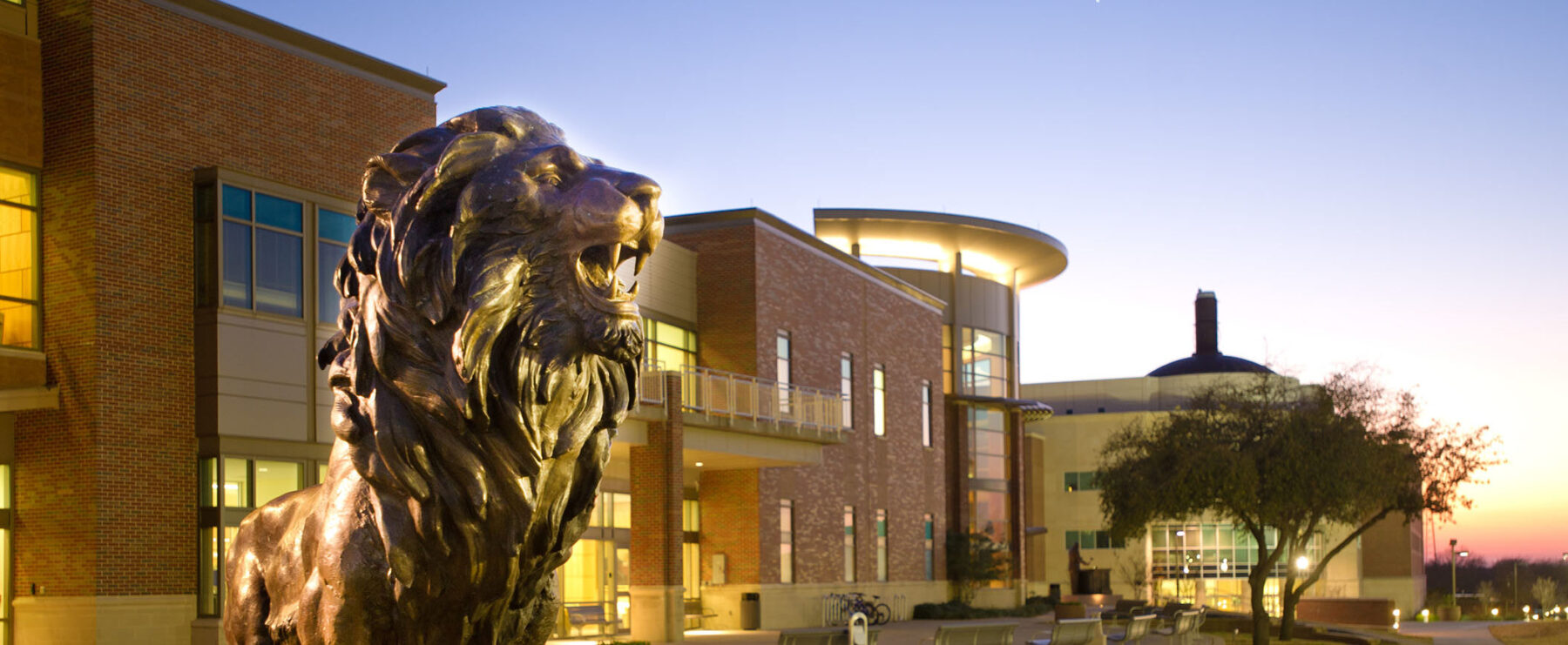 Lion statue in front of a bricked building. It is in the evening and the focus is on the lion.