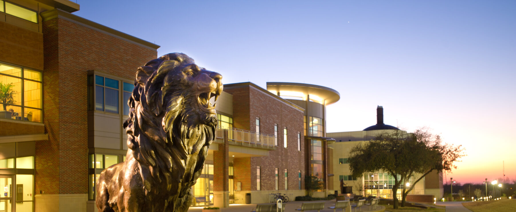 Lion statue in front of a bricked building. It is in the evening and the focus is on the lion.