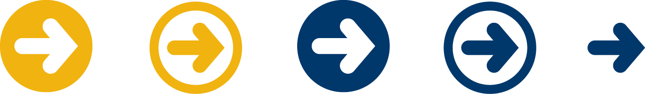 Examples of bullet style icons.