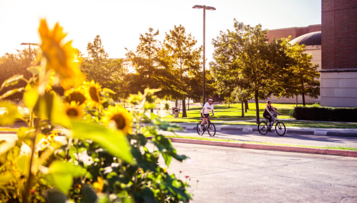 Two cyclists ride along a paved path in a sunny park, surrounded by lush greenery and sunflowers in the foreground. Trees and a brick building are visible in the background, illuminated by golden sunlight.