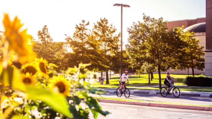 Two cyclists ride along a paved path in a sunny park, surrounded by lush greenery and sunflowers in the foreground. Trees and a brick building are visible in the background, illuminated by golden sunlight.