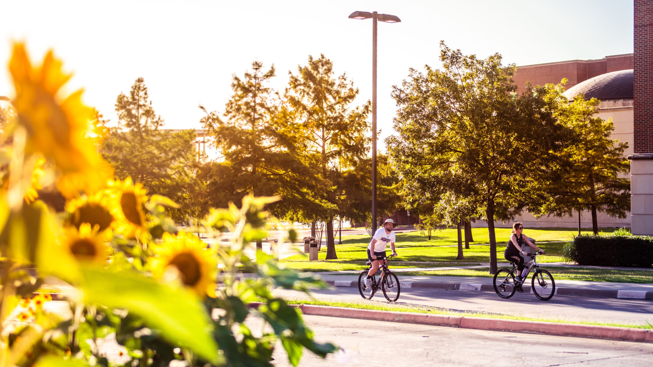 Two cyclists ride along a paved path in a sunny park, surrounded by lush greenery and sunflowers in the foreground. Trees and a brick building are visible in the background, illuminated by golden sunlight.