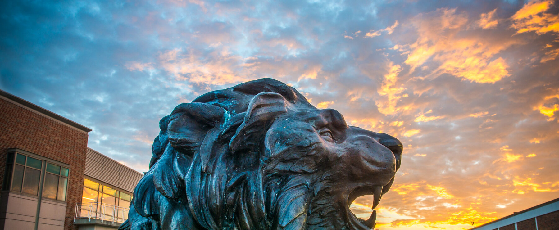 TAMUC lion statue