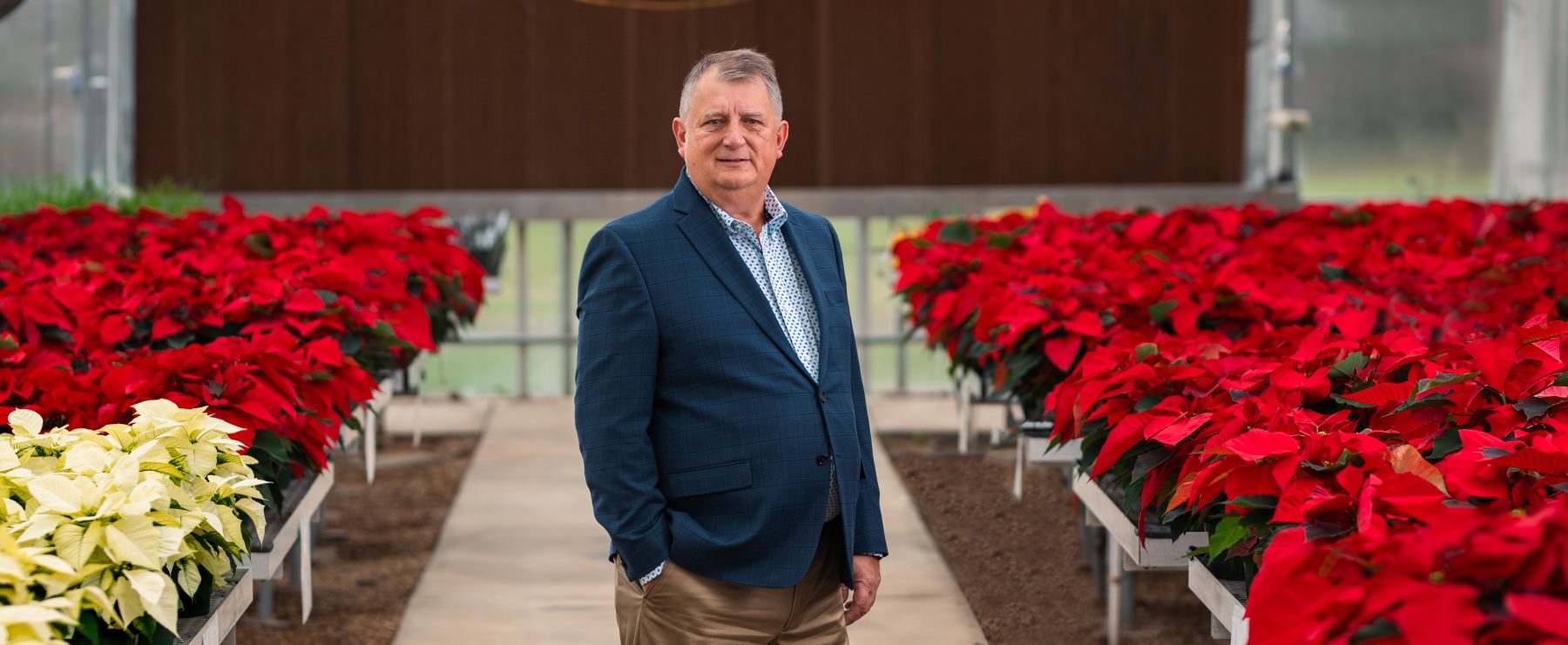 A man in a blue suit and polka-dotted shirt stands in and indoor greenhouse full of red and white plants.