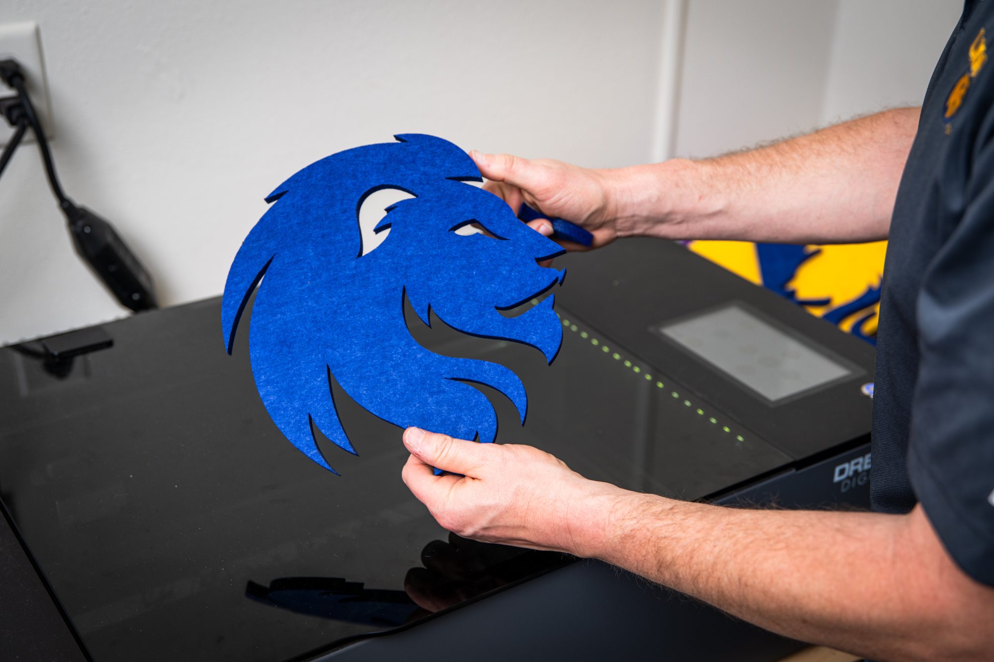 A 3D printing on the leo lion.