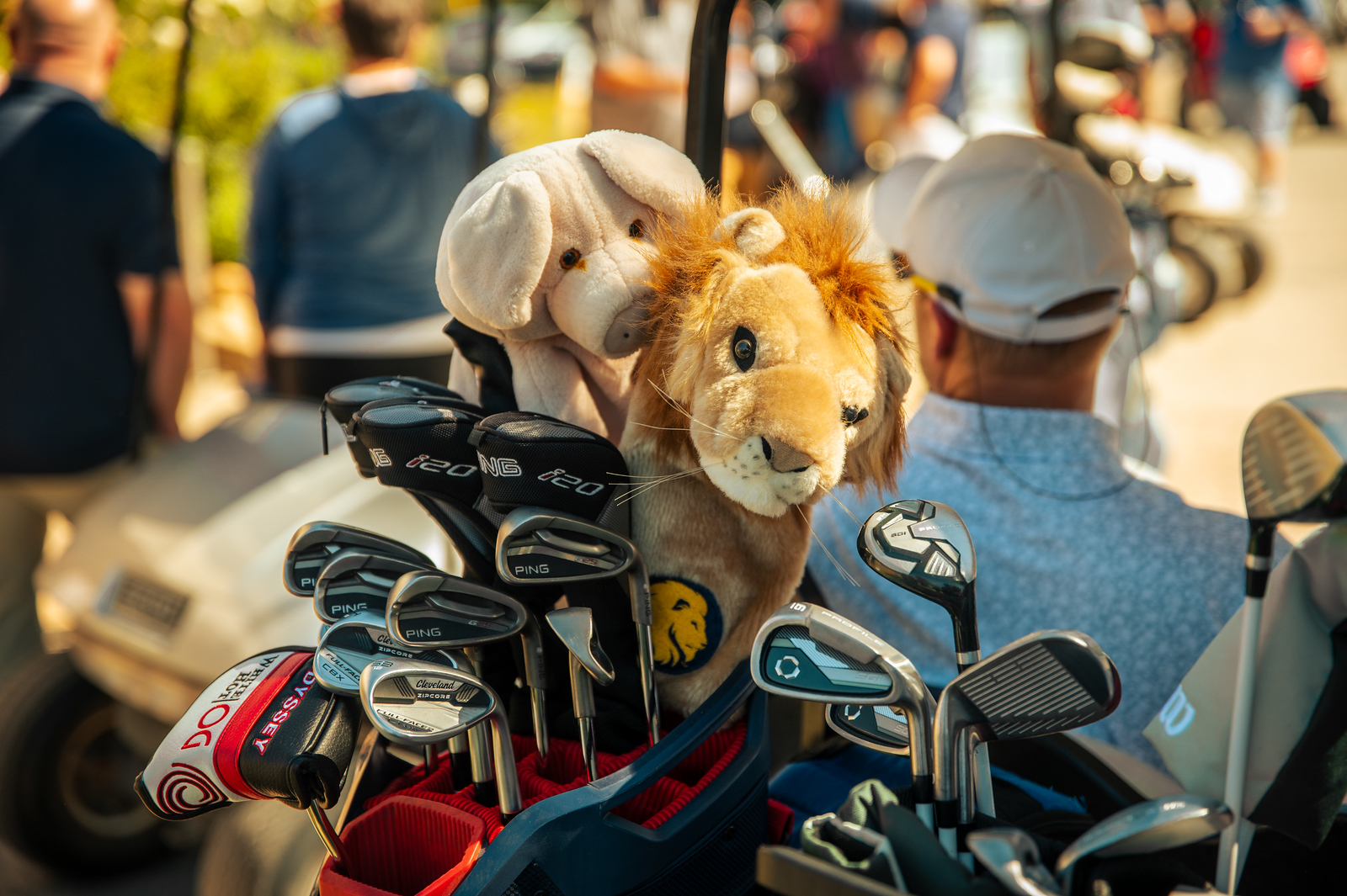 Golf bags with a lion and dog stuffy over the clubs. There are individuals in the back.