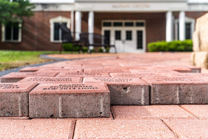 Red bricks on a pathway with names on them.