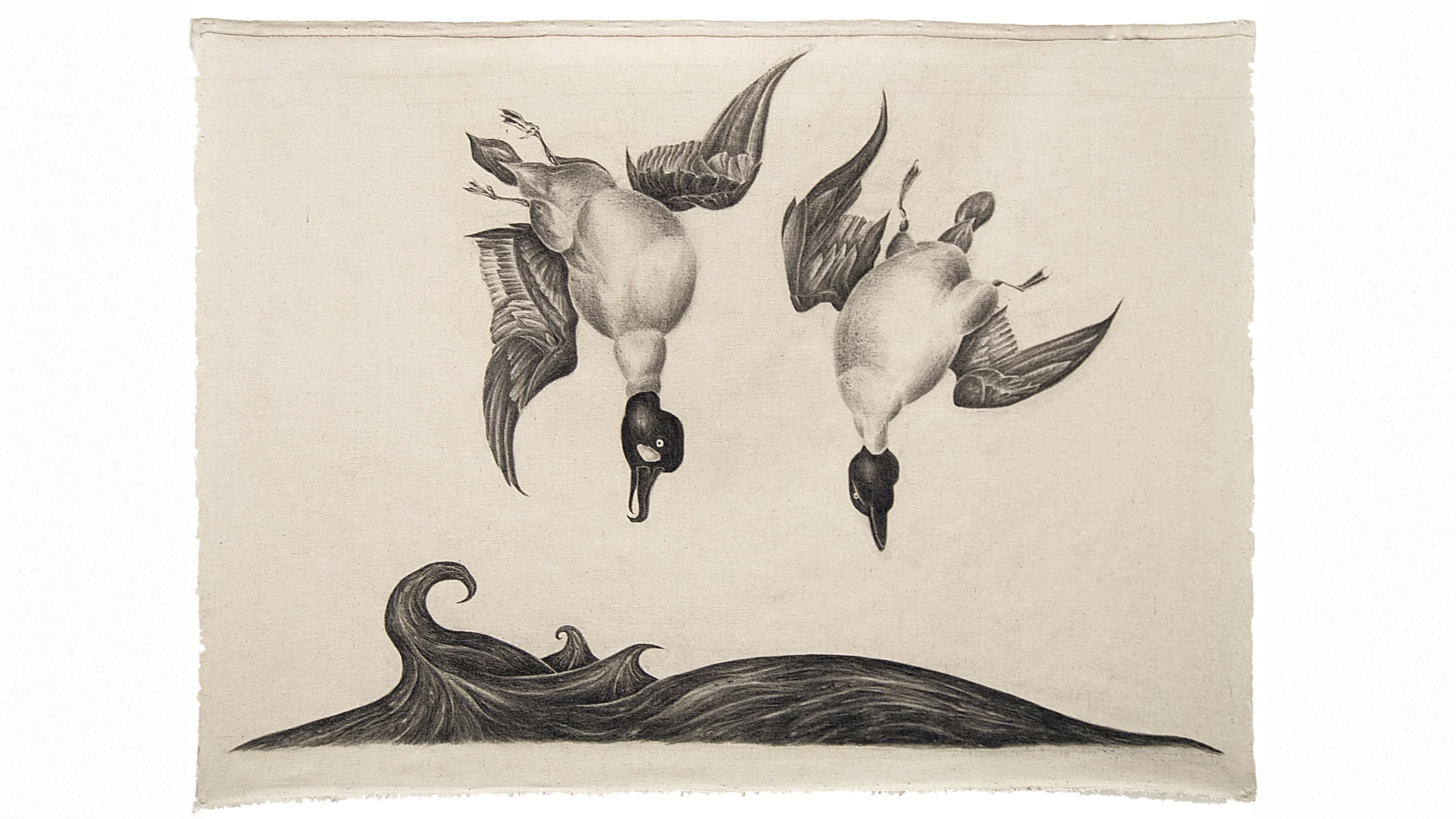 A graphite drawing of two ducks diving into the water.
