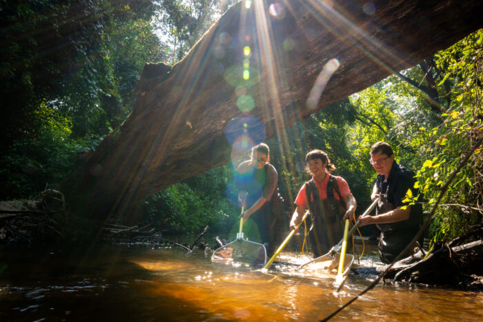 Two young women and a man wading through creek water with nets in their hands.