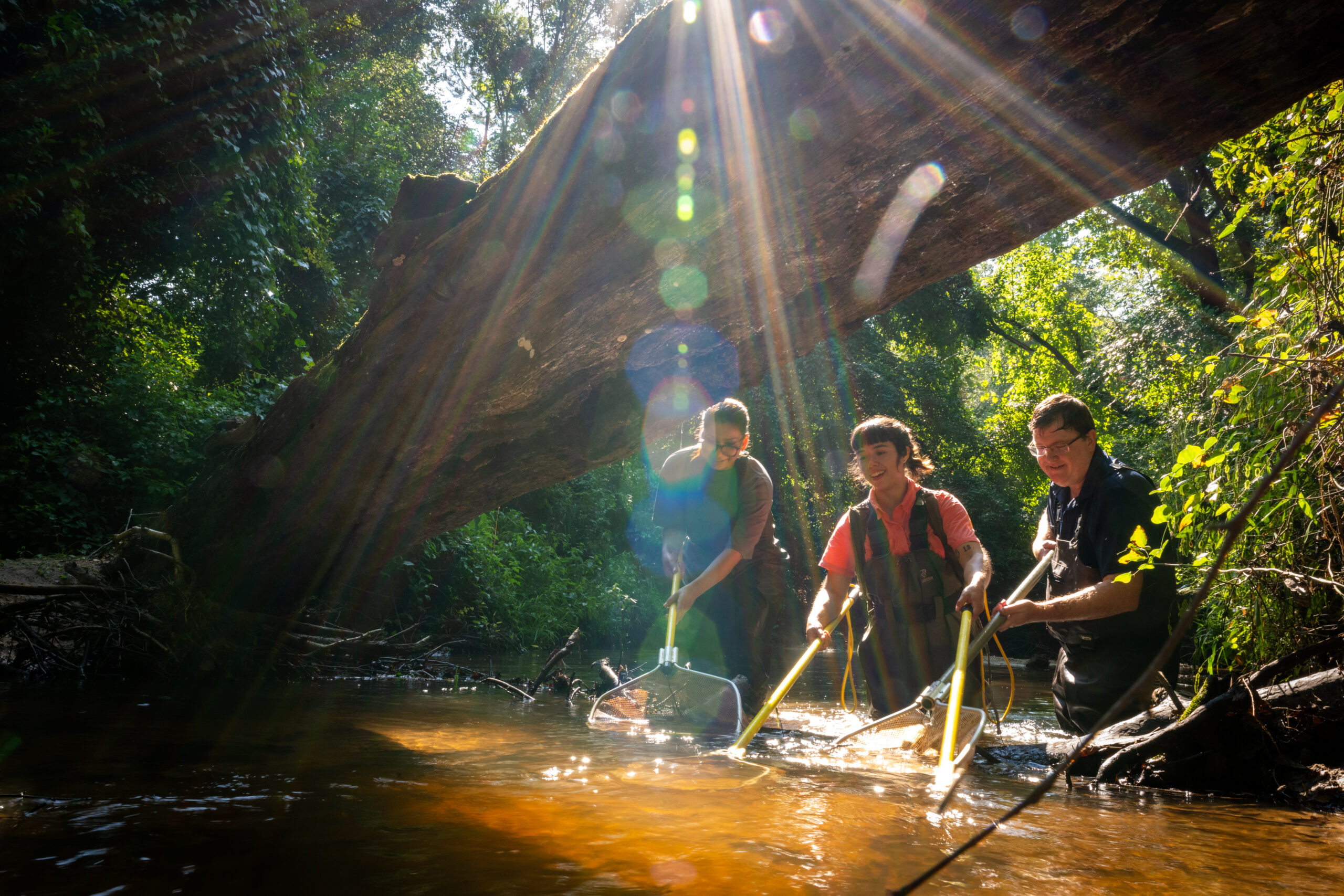 Two young women and a man wading through creek water with nets in their hands.