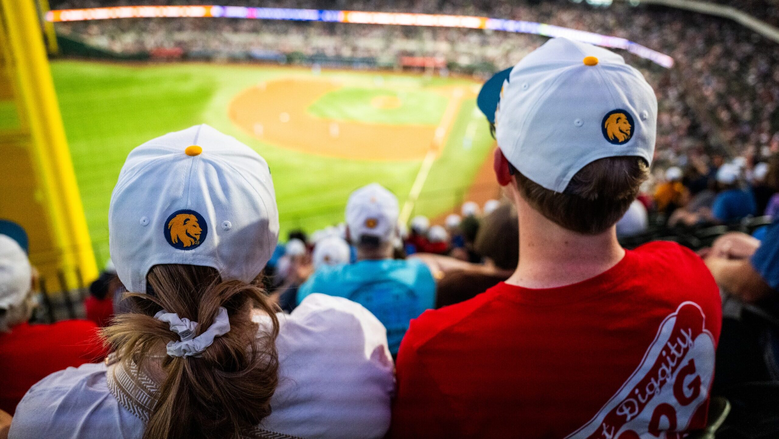 Two fans in the stands of a stadium watching a baseball game.