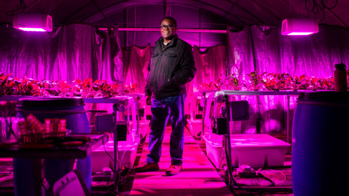 A person standing in a greenhouse lit up by red lights.