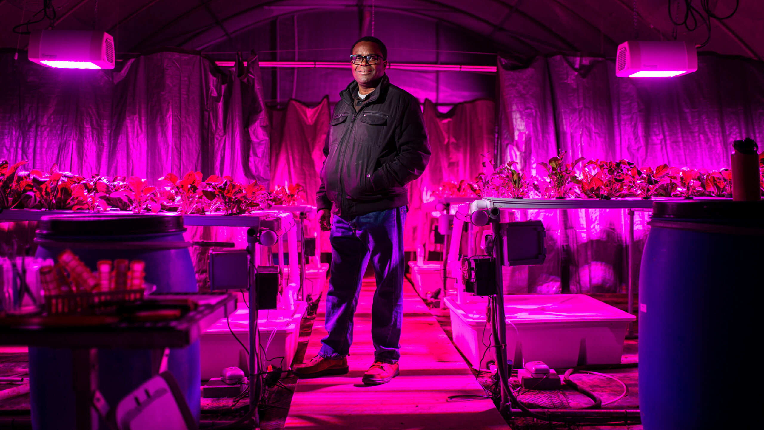 A person standing in a greenhouse lit up by red lights.