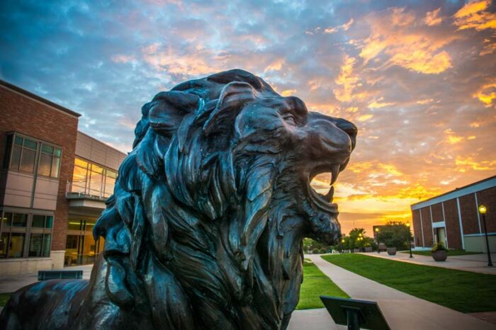 An image of the side of the lion head statue outside of the Rayburn Student Center.